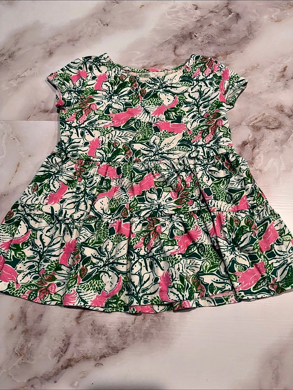 Lilly Pulitzer Floral Cotton Dress in Green & Pink